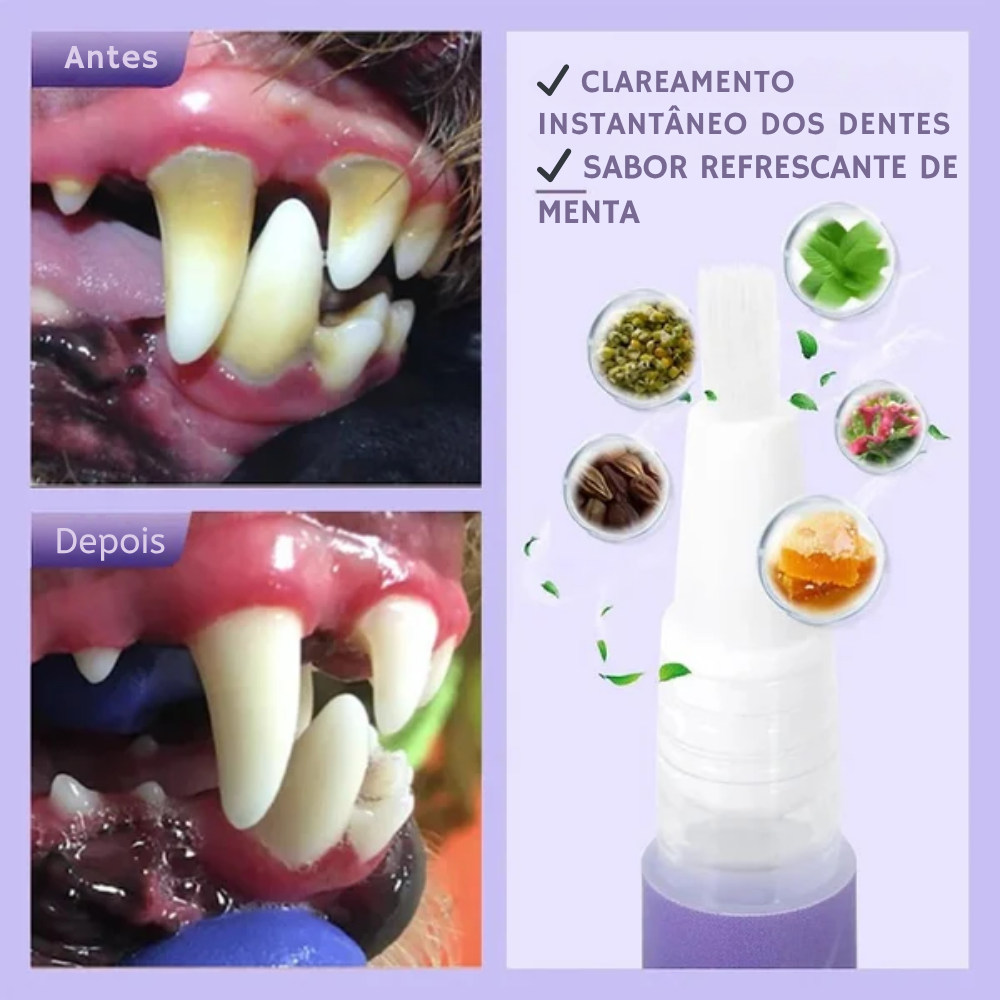 Antes e Depois